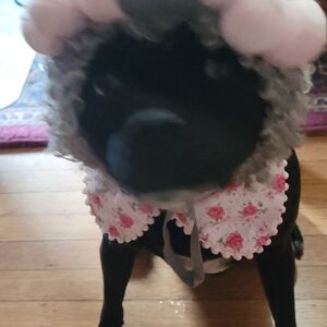 Meet your Posher, Cindy